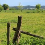 Rohloff Ferienpark Buschhof - Bild 16