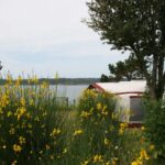 Romanée - Le Châtelet - Bild 7