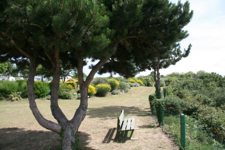 Romanée - Le Châtelet - Bild 9