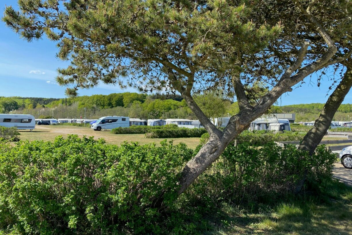 Rosenvold Strand Camping - Bild 10 Rosenvold Strand Camping - Bild 10