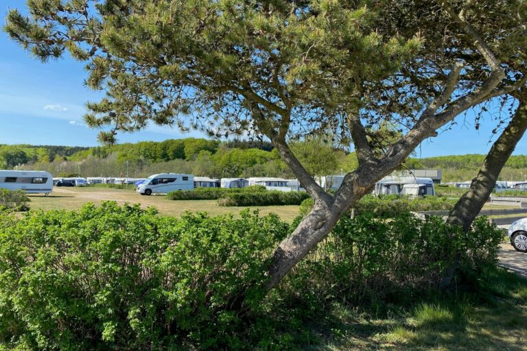 Rosenvold Strand Camping - Bild 10 Rosenvold Strand Camping - Bild 10