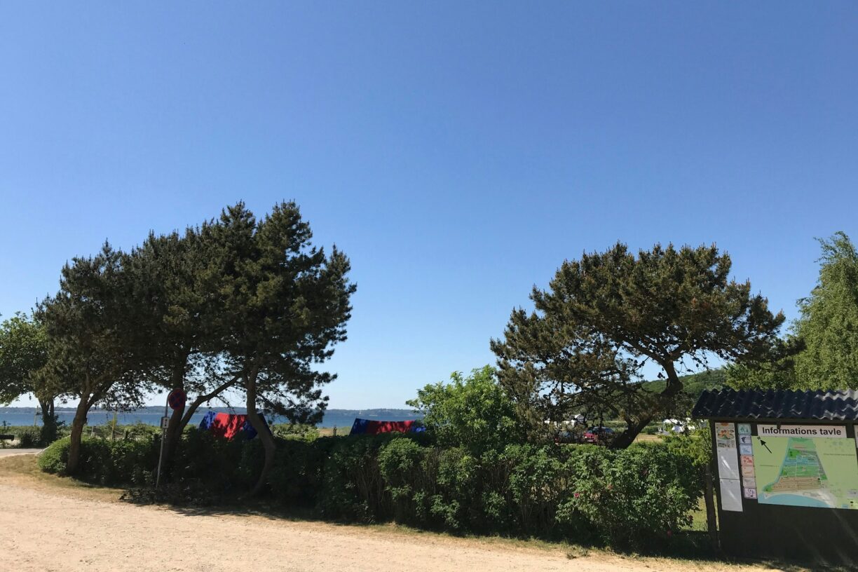 Rosenvold Strand Camping - Bild 4 Rosenvold Strand Camping - Bild 4