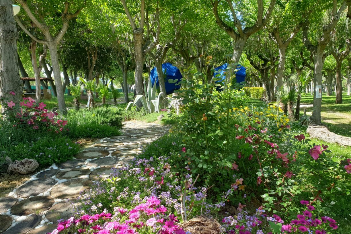 Roseto Easy Camping Village - Bild 17 Roseto Easy Camping Village - Bild 17