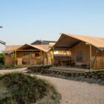 Sahara Stay - Bild 2