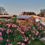 San Servolo Wellness Camping - Bild 16