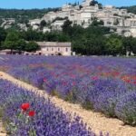 Sas Camping De Valsaintes - Bild 5 Sas Camping De Valsaintes - Bild 5