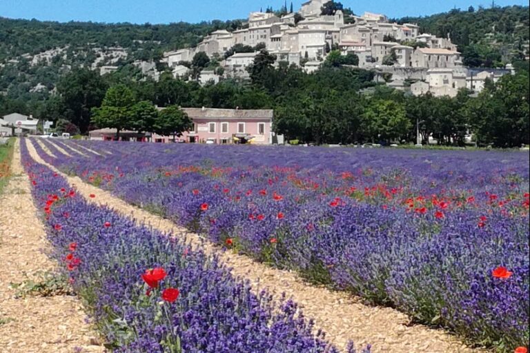 Sas Camping De Valsaintes - Bild 5 Sas Camping De Valsaintes - Bild 5