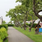 Siblu Camping In De Bongerd - Bild 2