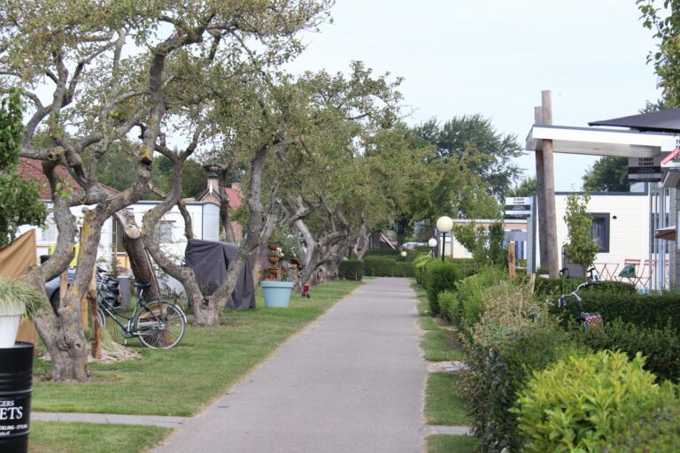 Siblu Camping In De Bongerd - Bild 8