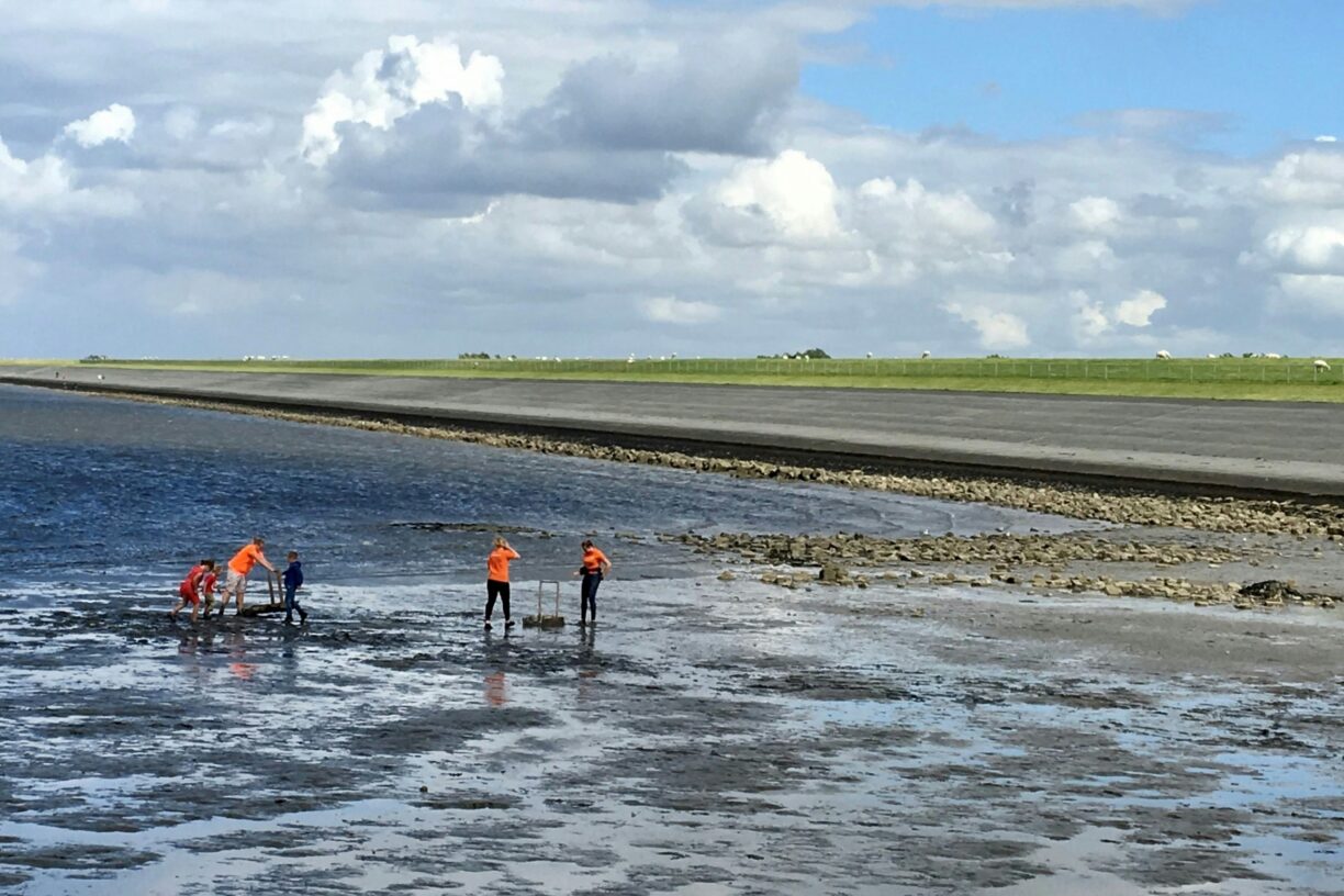 Siblu Camping Lauwersoog - Bild 16 Siblu Camping Lauwersoog - Bild 16