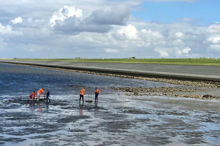 Siblu Camping Lauwersoog - Bild 16 Siblu Camping Lauwersoog - Bild 16