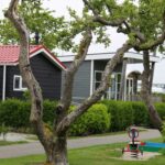 Siblu Camping In De Bongerd - Bild 1