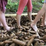 Sites Et Paysages Au Clos De La Chaume - Bild 12