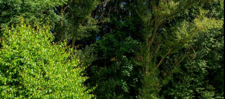 Sites Et Paysages Au Clos De La Chaume - Bild 16