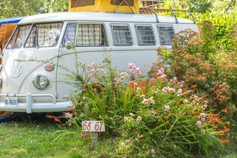 Sites Et Paysages Au Gré Des Vents - Bild 3