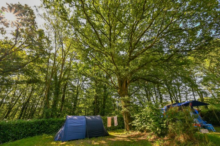 Sites Et Paysages Au Gré Des Vents - Bild 8