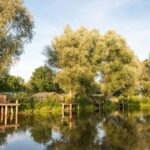 Sites Et Paysages Camping De L'etang - Bild 3