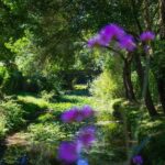 Sites Et Paysages Camping De L'etang - Bild 7