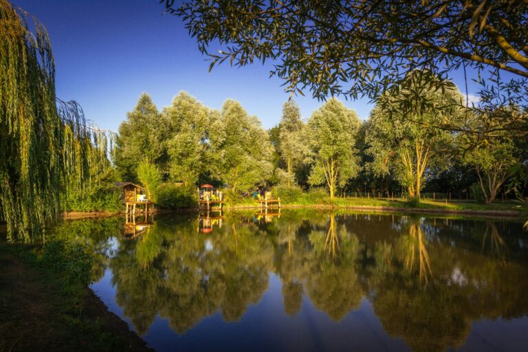 Sites Et Paysages Camping De L'etang - Bild 8