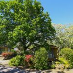 Sites Et Paysages Camping Le Petit Bois - Bild 3 Sites Et Paysages Camping Le Petit Bois - Bild 3