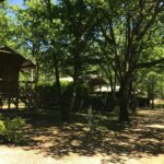 Sites Et Paysages Les Hirondelles - Bild 11 Sites Et Paysages Les Hirondelles - Bild 11