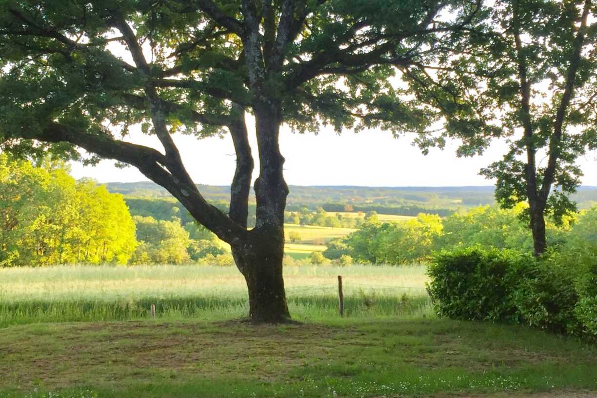 Sites Et Paysages Les Hirondelles - Bild 6 Sites Et Paysages Les Hirondelles - Bild 6