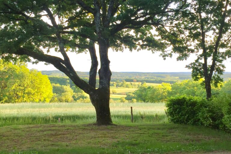 Sites Et Paysages Les Hirondelles - Bild 6 Sites Et Paysages Les Hirondelles - Bild 6