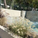 Sites Et Paysages Les Pinèdes - Bild 9