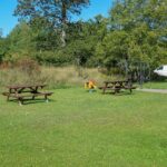 Skeppsdockans Camping & Vandrarhem - Bild 13