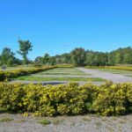 Skeppsdockans Camping & Vandrarhem - Bild 6