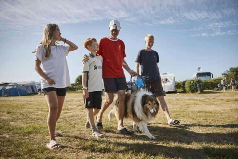 Skiveren Camping - Bild 10