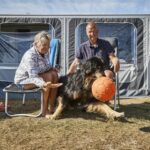 Skiveren Camping - Bild 7