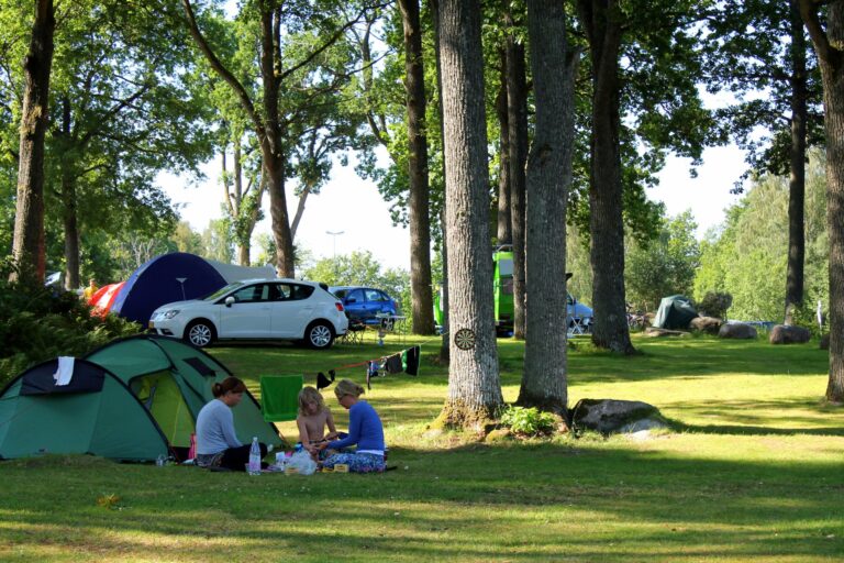 Skotteksgården Camping - Bild 14