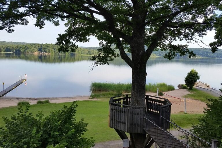 Skotteksgården Camping - Bild 16