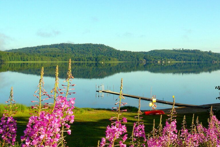 Skotteksgården Camping - Bild 6