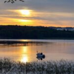 Skotteksgården Camping - Bild 9