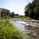 Slow Village La Roque-sur-cèze - Bild 7