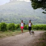 Slow Village La Roque-sur-cèze - Bild 9