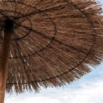 Slow Village Marennes Oléron - Bild 12