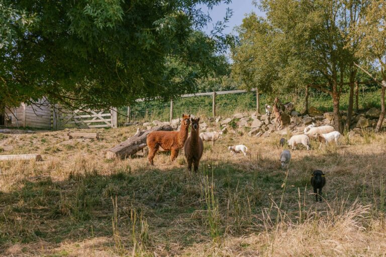 Slow Village Pornic - Bild 8