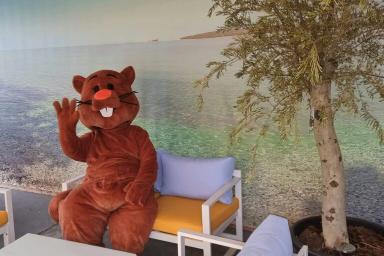 Sonnencamp Am Gösselsdorfer See - Bild 14 Sonnencamp Am Gösselsdorfer See - Bild 14