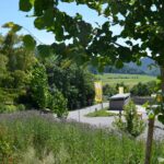 Sonnencamping Albstadt - Bild 12 Sonnencamping Albstadt - Bild 12