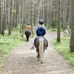 Sonnenplateau Camping Gerhardhof - Bild 7 Sonnenplateau Camping Gerhardhof - Bild 7