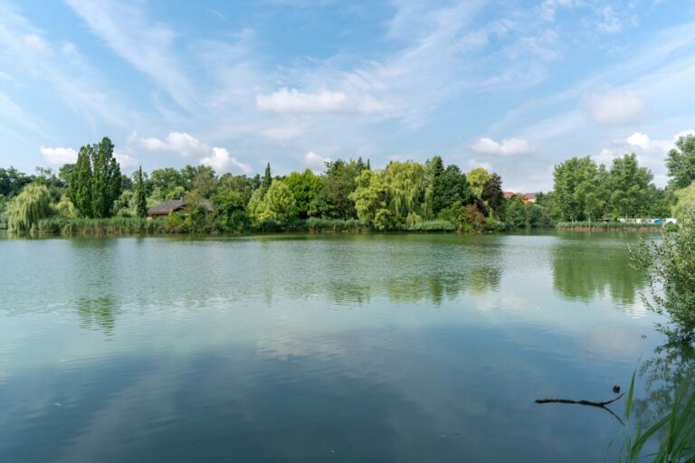 Sperrfechter Freizeitpark - Bild 7 Sperrfechter Freizeitpark - Bild 7