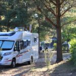 Spreewald-natur-camping „am See“ - Bild 6