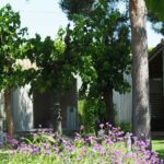 Stel Camping & Bungalows Resort - Bild 3 Stel Camping & Bungalows Resort - Bild 3