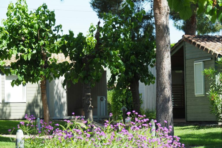 Stel Camping & Bungalows Resort - Bild 3 Stel Camping & Bungalows Resort - Bild 3