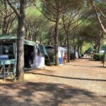 Stella Del Mare Family Collection - Bild 15