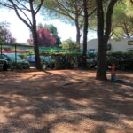 Stella Del Mare Family Collection - Bild 16