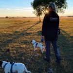 Stenåsa Stugor & Camping - Bild 11